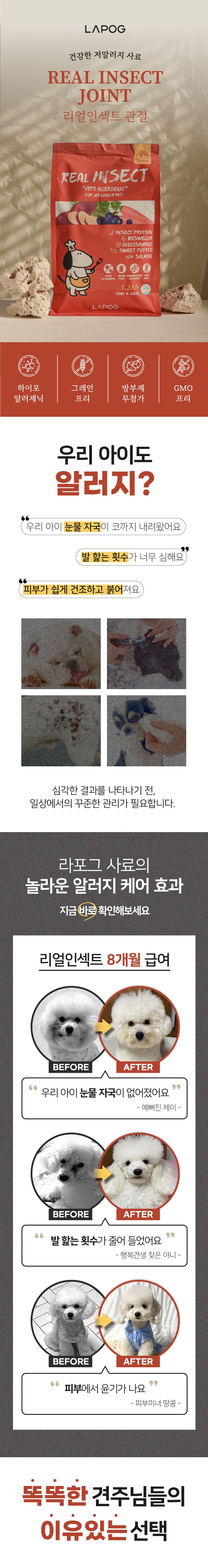 [NEW신상]라포그 독 리얼인섹트 조인트케어 4kg 1번째