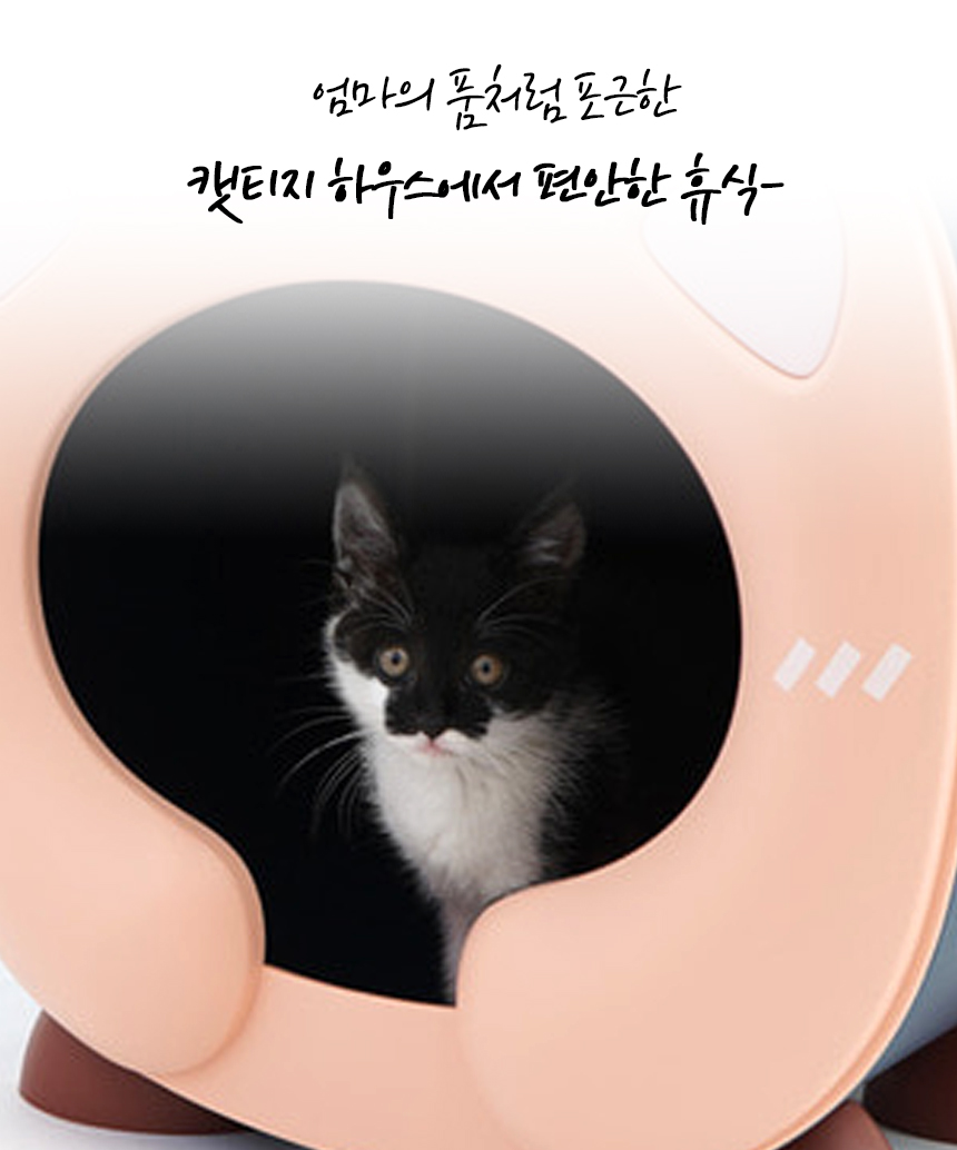 [NEW신상][무료배송] 개과천선 캣 캣티지 하우스 (딥블루/크림 핑크) 3번째