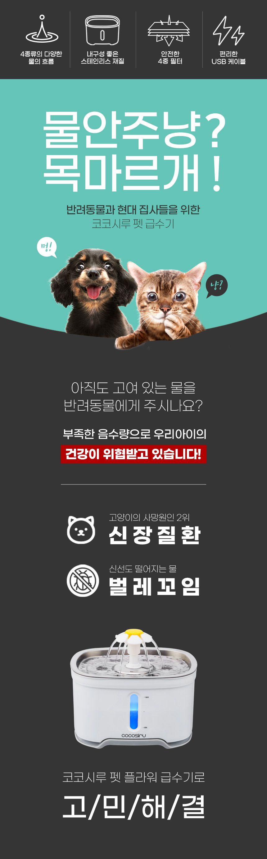 코코시루 해바라기 급수기 (C24WF) 7번째