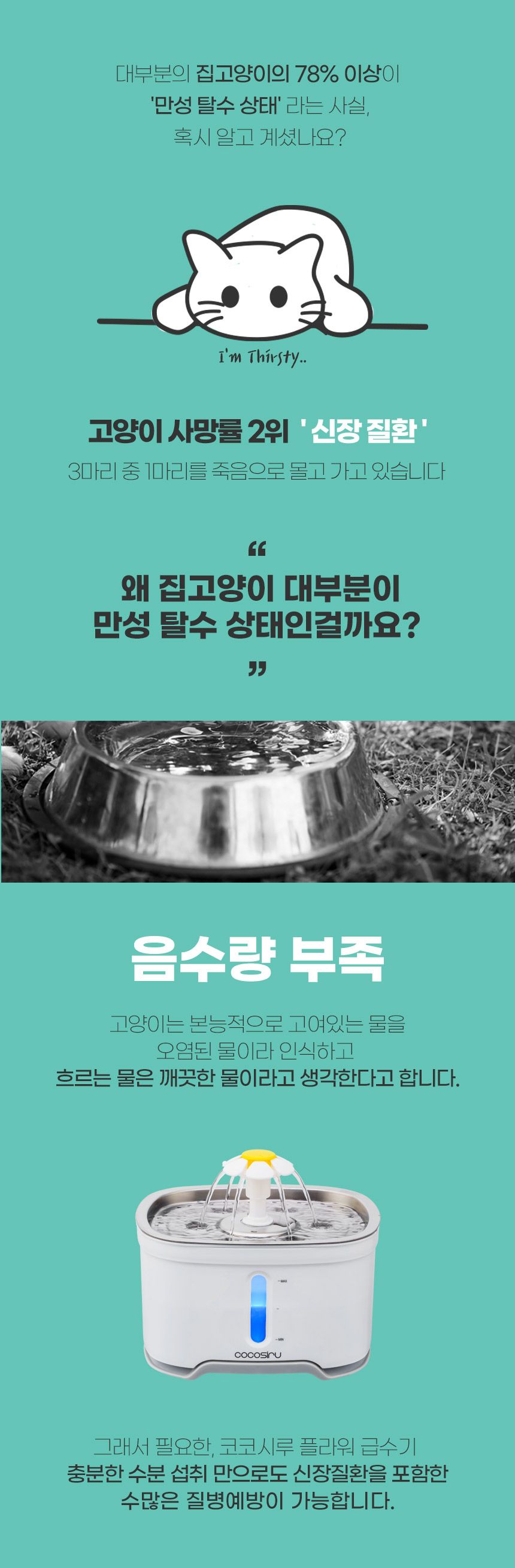 코코시루 해바라기 급수기 (C24WF) 8번째