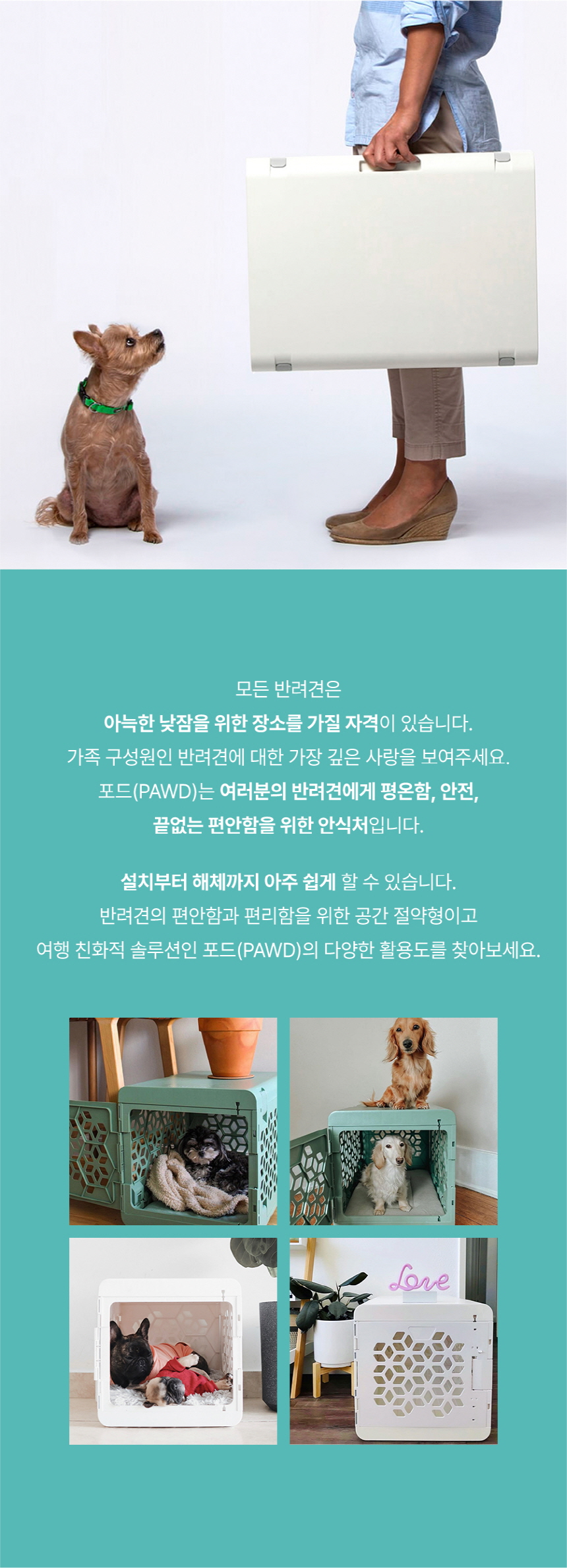 [무료배송] 카인드테일 포드 접이식 하우스 그린/화이트 4번째