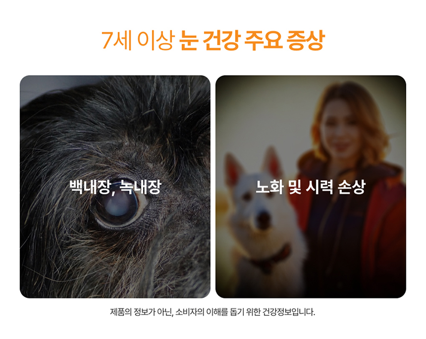 [NEW신상][무료배송] 포바운티 독 아이즈 서포트 시니어 7세 이상 100g 18번째