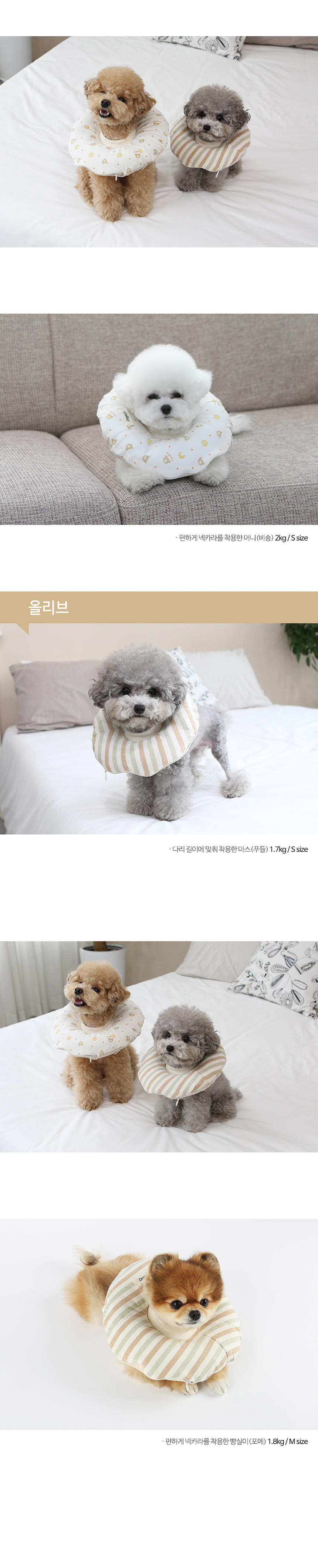 [무료배송] 이츠독 오가닉 홈케어링 넥카라 곰고미 S-XL 2번째
