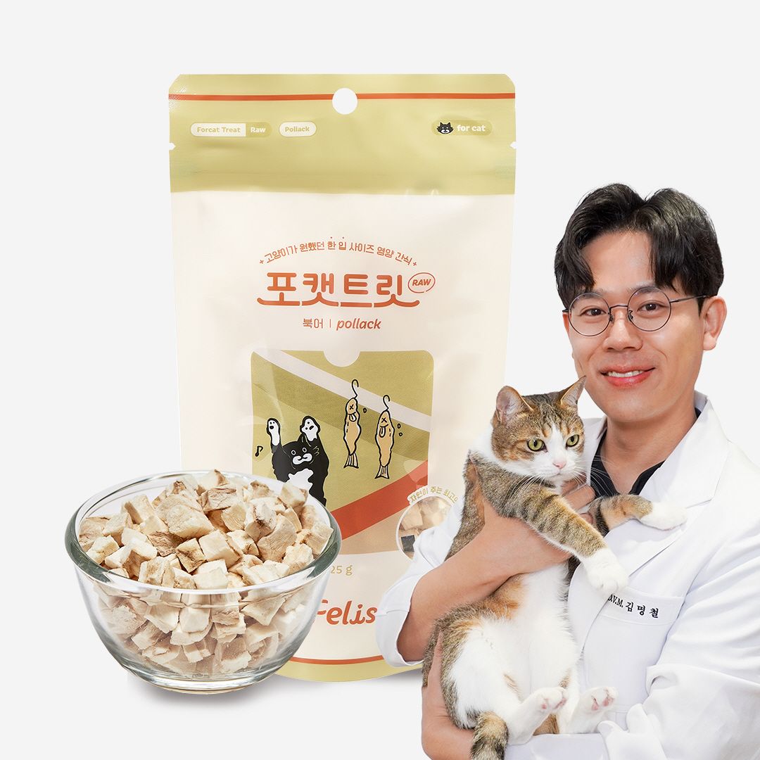 닥터펠리스 포캣트릿 Raw 북어 동결건조 간식 25g 0번