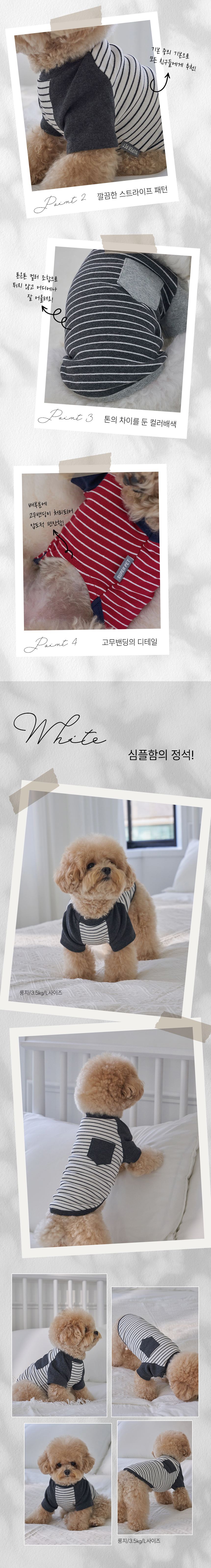 [NEW신상][무료배송] 도그아이 강아지옷애견 포켓단가라 티셔츠 S-2XL (그레이/레드/화이트) 2번째