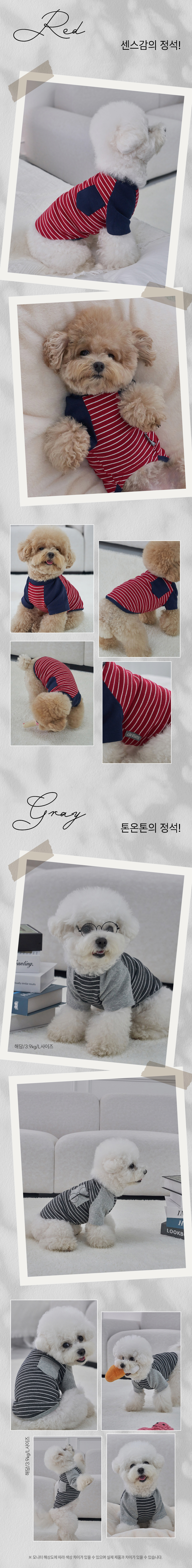 [NEW신상][무료배송] 도그아이 강아지옷애견 포켓단가라 티셔츠 S-2XL (그레이/레드/화이트) 3번째