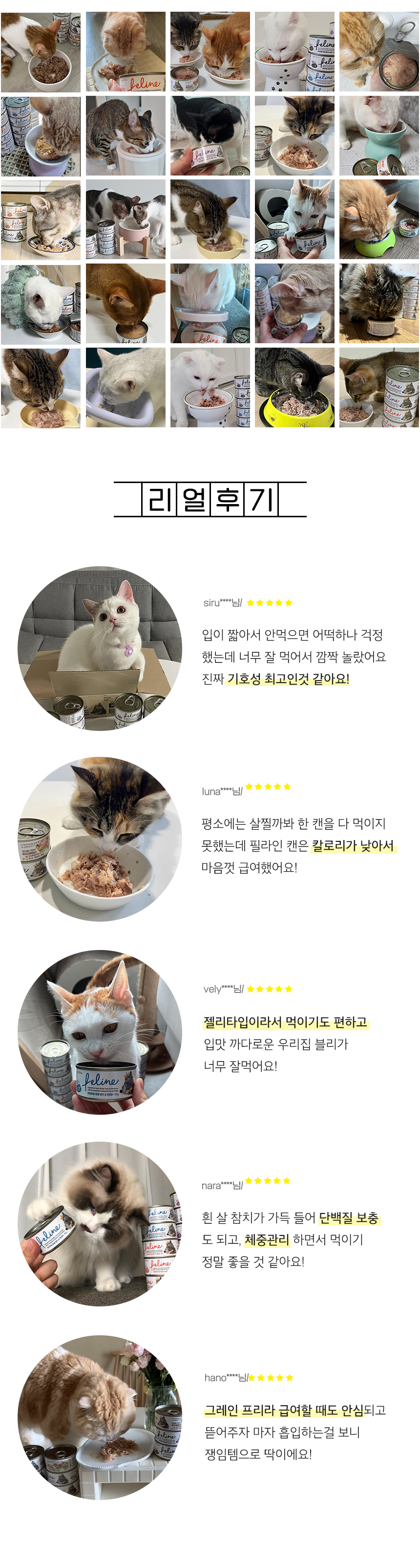 [NEW신상][무료배송] [24개] 데이스포 캣 필라인 캔 흰살참치와 멸치 80g 2번째