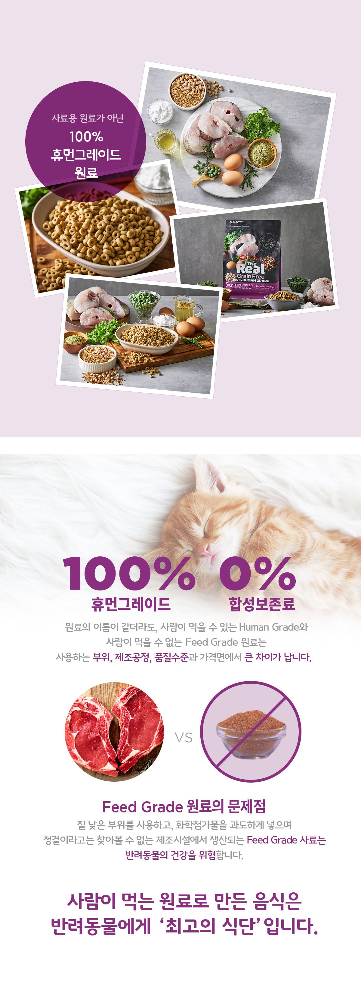 [사료샘플] 더리얼 캣 그레인프리 크런치 대구 어덜트 50g 2번째
