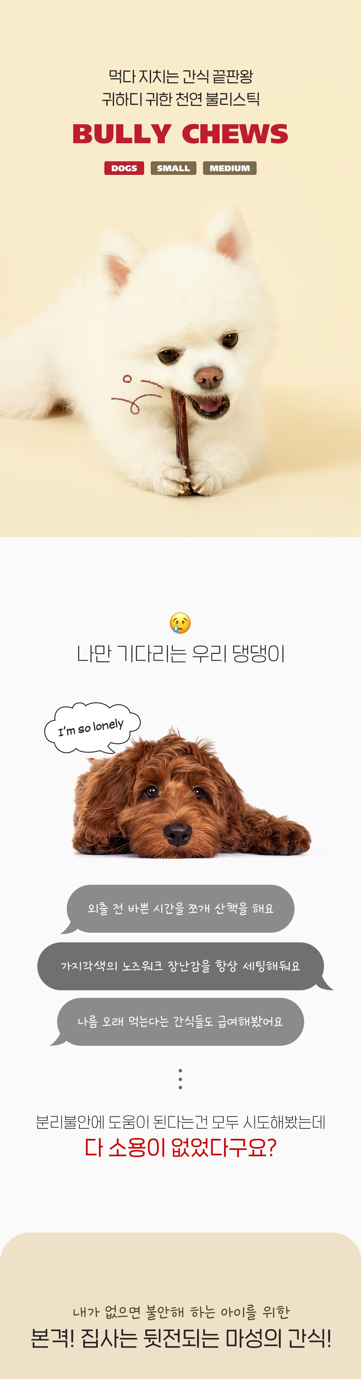 페스룸 독 불리츄 S 2번째