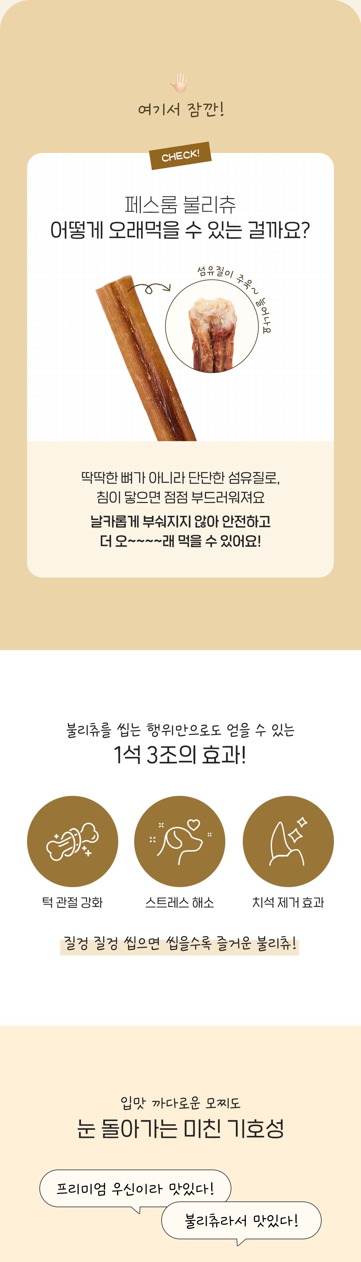 페스룸 독 불리츄 S 10번째