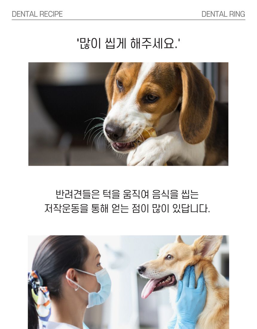 엘리야 덴탈링 치실 덴탈껌 10번째