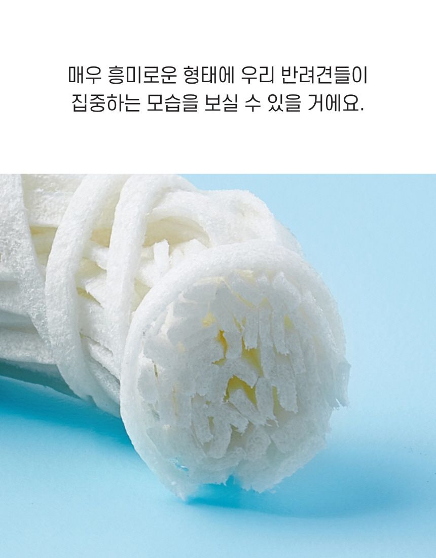 엘리야 덴탈링 치실 덴탈껌 4번째