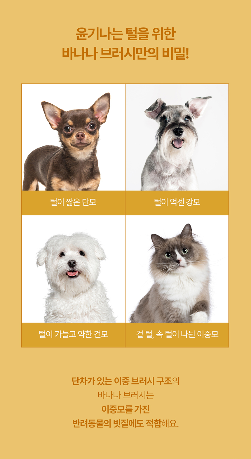 두잇 바나나 브러시 돈모 브러쉬 7번째