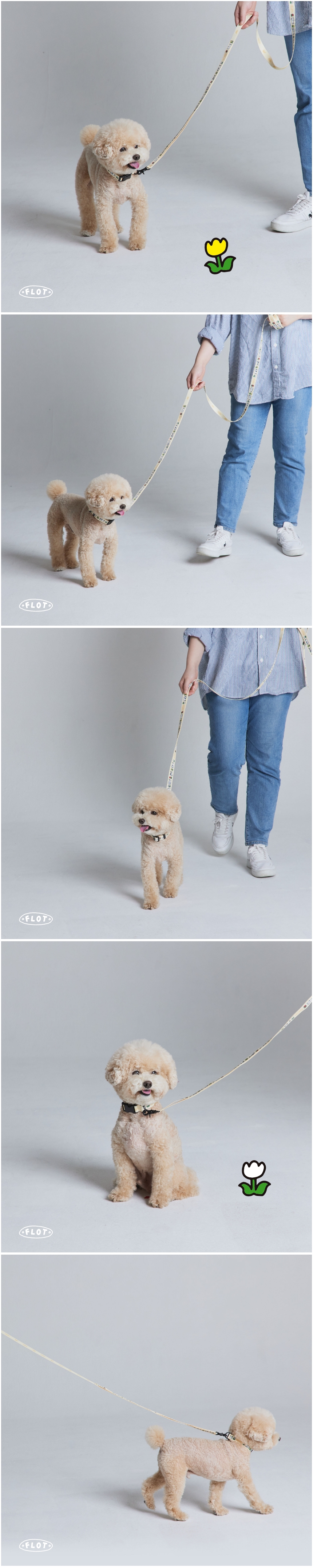 [NEW신상][무료배송] 플로트 플라워 목줄 3종 (베이지/블루/레드) S-M 9번째