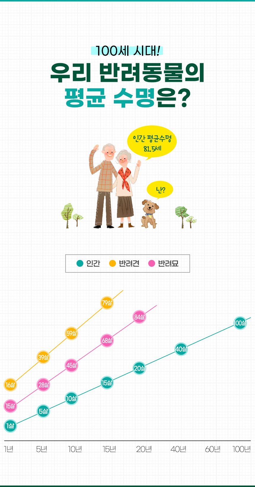 [무료배송] 뉴메디션 포 노멀 조인트 60g 2번째