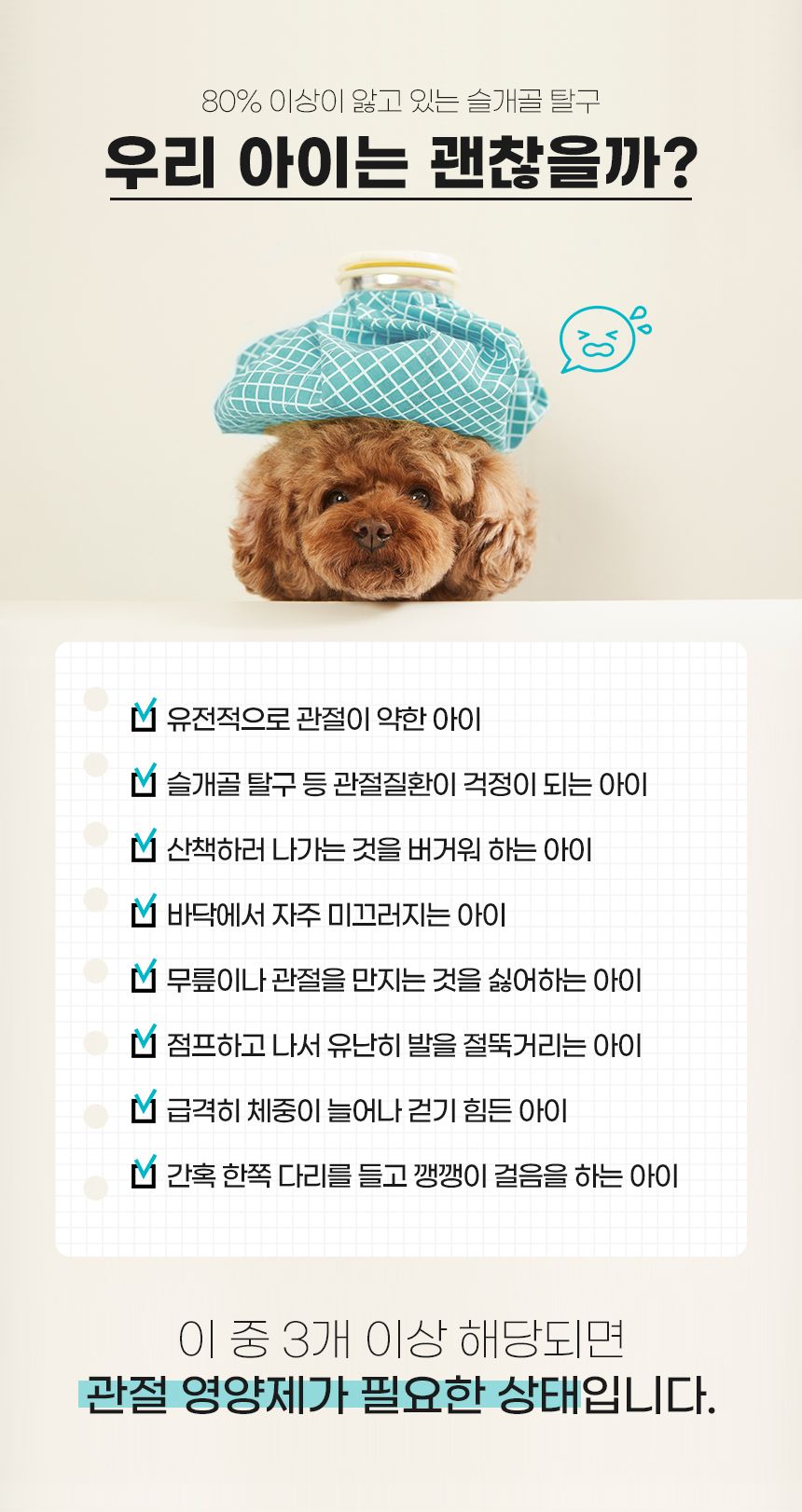 [무료배송] 뉴메디션 포 노멀 조인트 60g 5번째