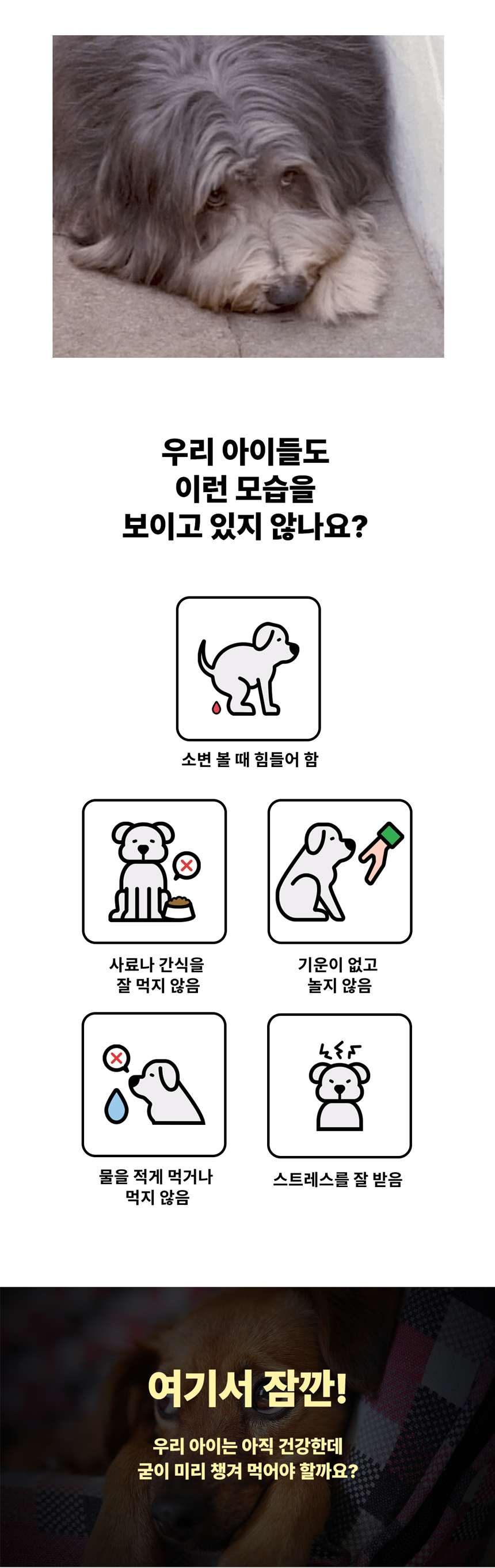 [무료배송] 날라주 챙겨멍냥-U 간식처럼먹는 비뇨기영양제 90g*30p 3번째