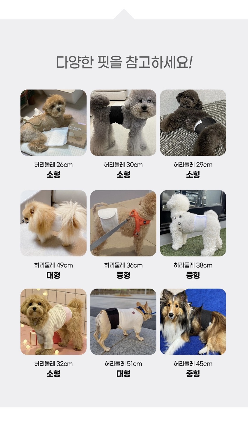 [무료배송] 베베페페 아임해피 강아지 기저귀 매너벨트 브라운 소형/중형/대형 2번째