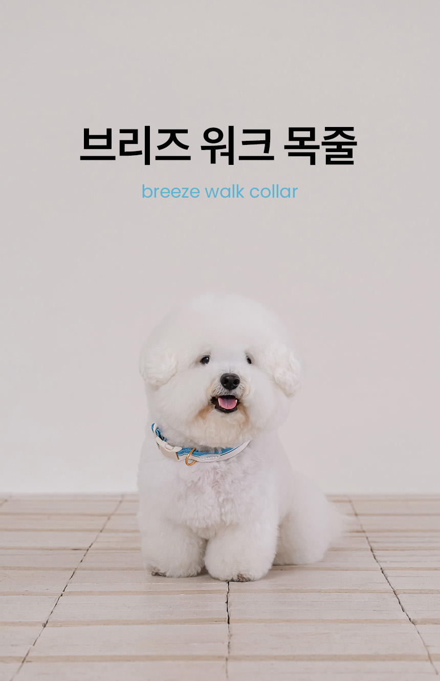 [NEW신상][무료배송] 리카리카 브리즈 워크 목줄 웜그레이/오션블루/올리브 M-L 1번째