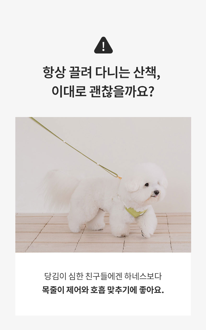 [NEW신상][무료배송] 리카리카 브리즈 워크 목줄 웜그레이/오션블루/올리브 M-L 4번째
