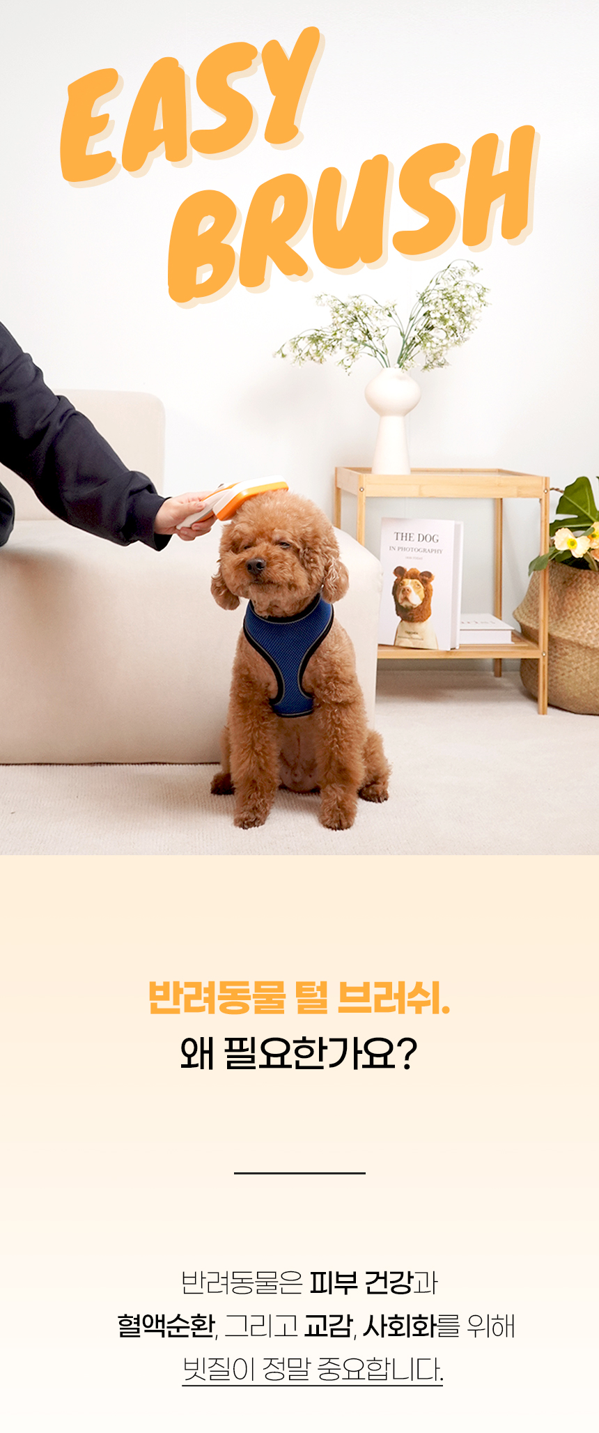 [NEW신상][무료배송] 개과천선 라티 원터치 브러쉬 화이트 오렌지 (소형/대형) 1번째