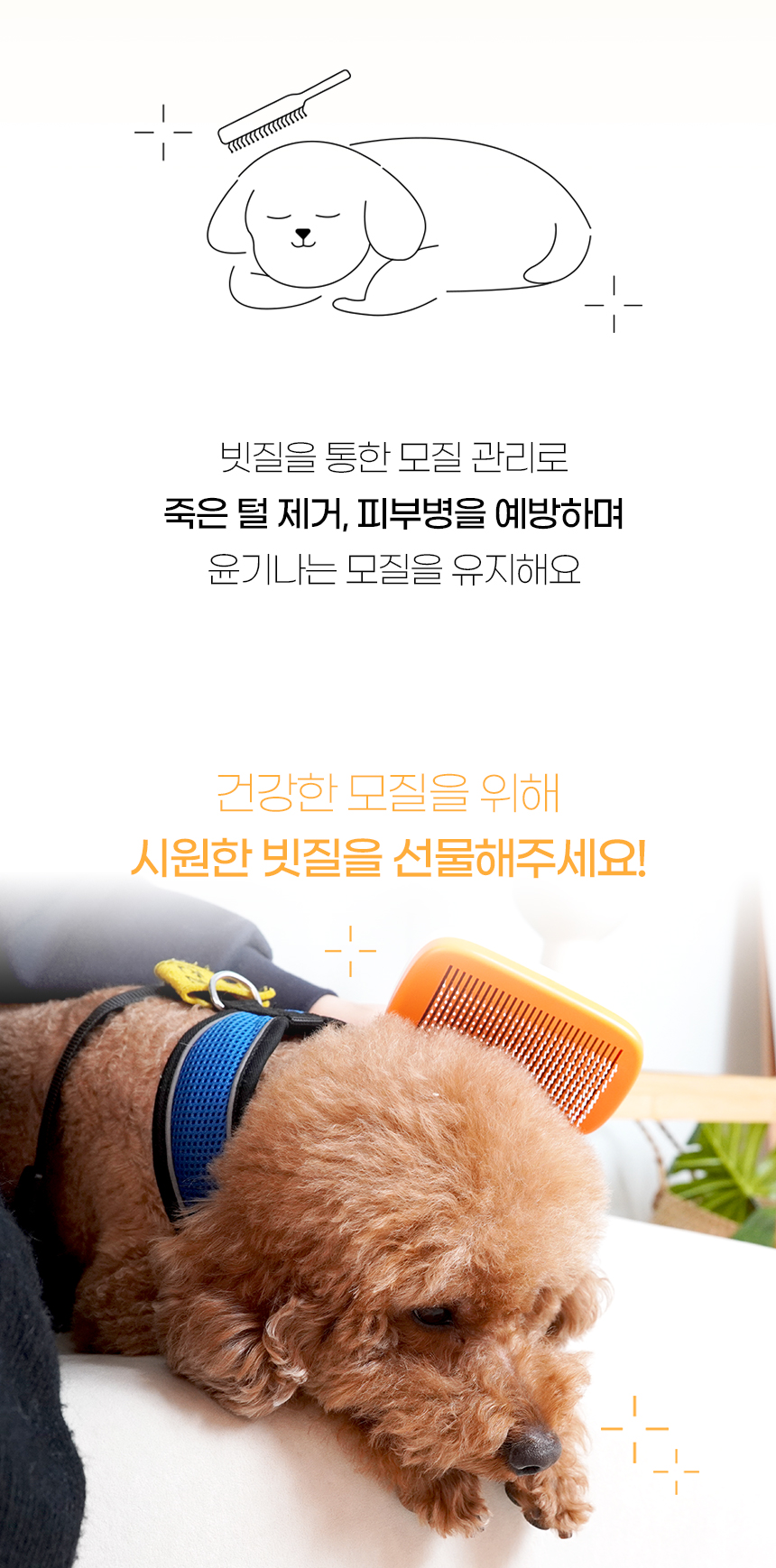 [NEW신상][무료배송] 개과천선 라티 원터치 브러쉬 화이트 오렌지 (소형/대형) 2번째