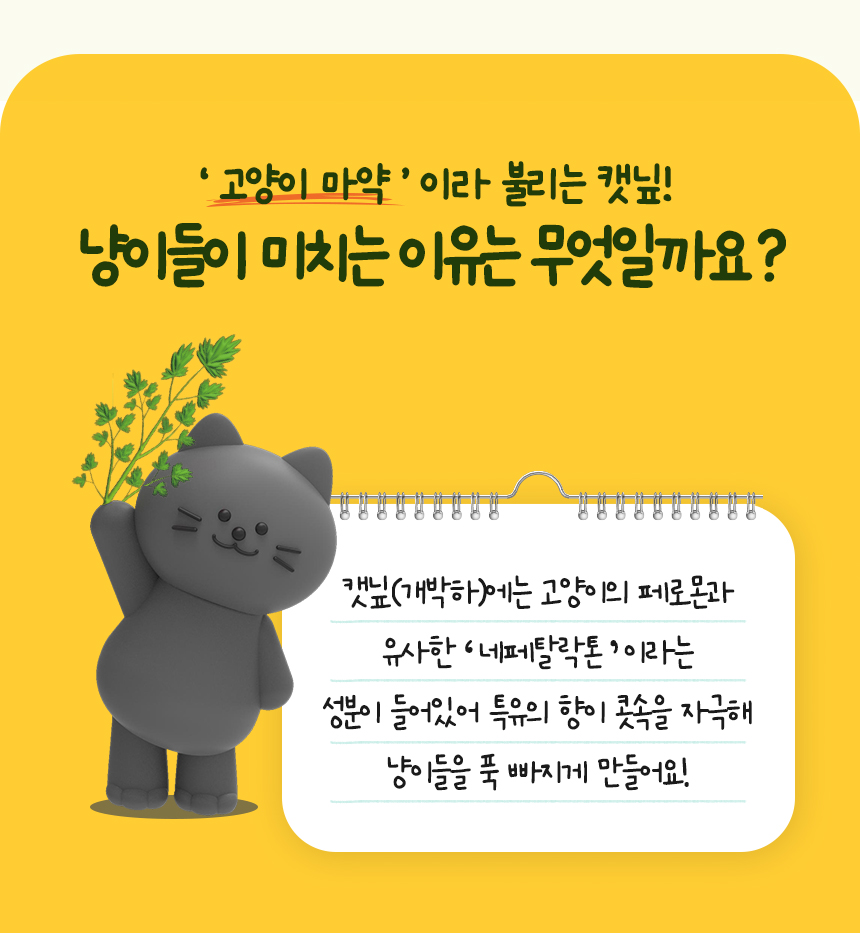 [NEW신상]펫토리아 고양이 장난감 캣닢 뽕파티 스프레이 50ml 14번째