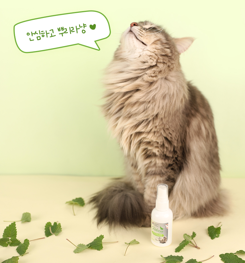 [NEW신상]펫토리아 고양이 장난감 캣닢 뽕파티 스프레이 50ml 29번째
