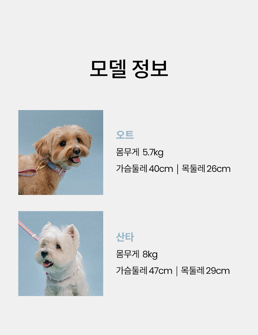 [무료배송] 리카리카 플레어 핸즈프리 리드줄 핑크/민트 16번째