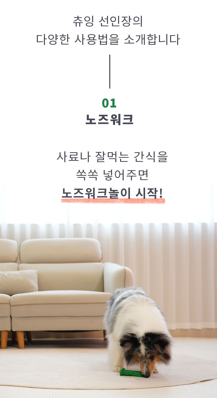 [무료배송] 펫베오 츄잉선인장 칫솔 장난감 11번째