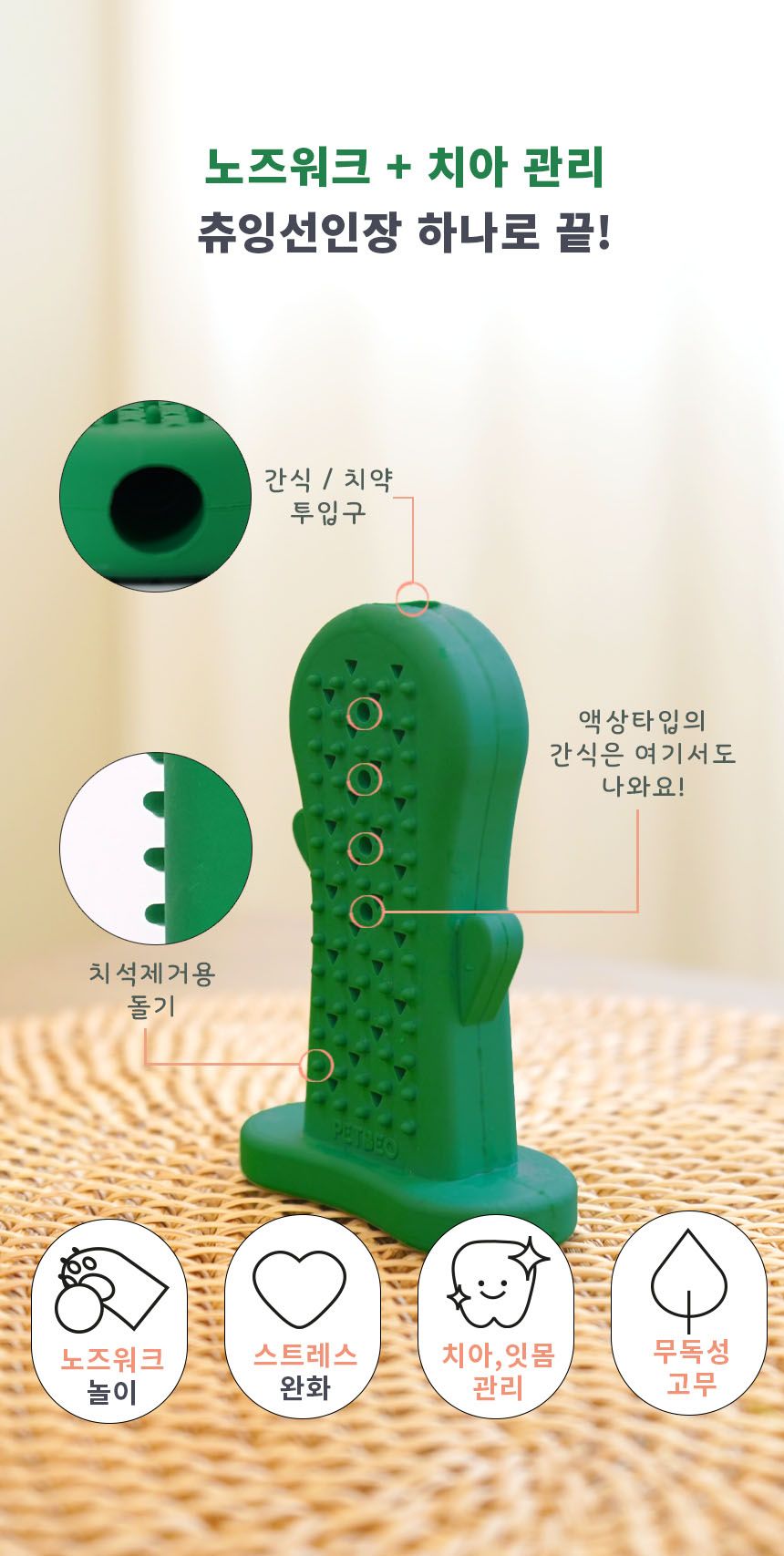 [무료배송] 펫베오 츄잉선인장 칫솔 장난감 9번째