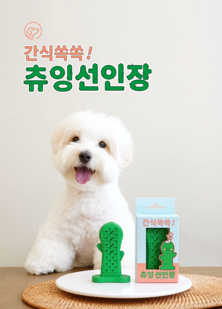 [무료배송] 펫베오 츄잉선인장 칫솔 장난감 3번째