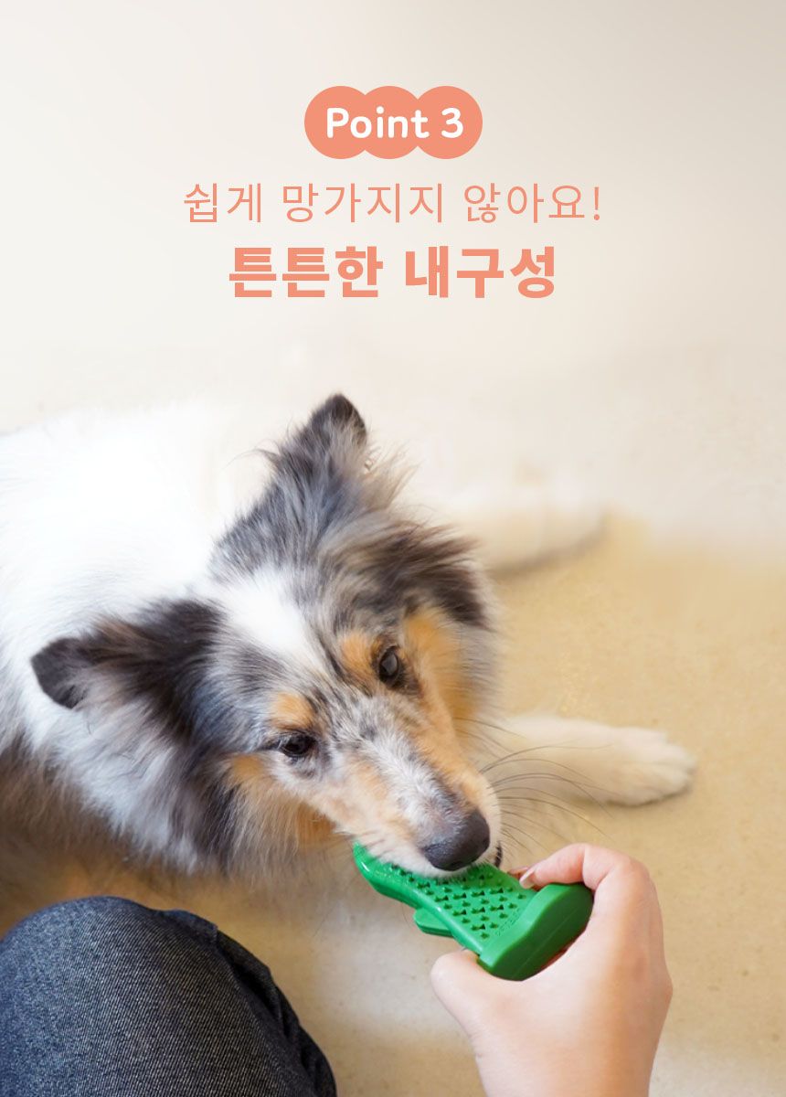 [무료배송] 펫베오 츄잉선인장 칫솔 장난감 18번째