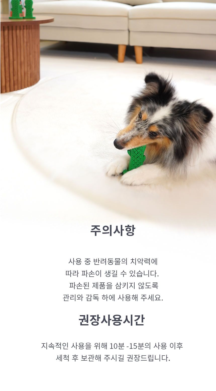 [무료배송] 펫베오 츄잉선인장 칫솔 장난감 22번째