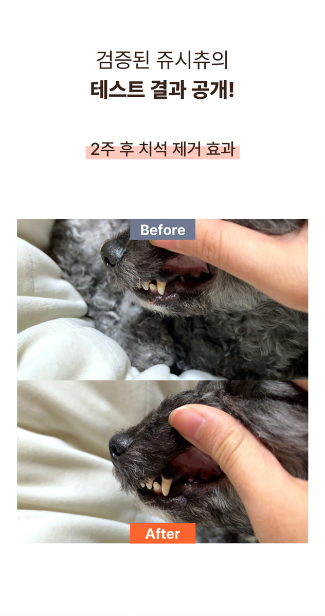 [NEW신상] [무료배송] [1+1] 프레시탭 독 덴탈 쥬시츄 15개입 17번째