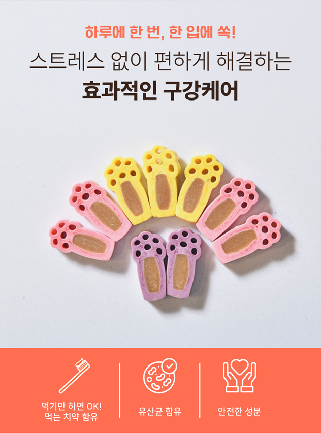 [NEW신상] [무료배송] [1+1] 프레시탭 독 덴탈 쥬시츄 15개입 3번째