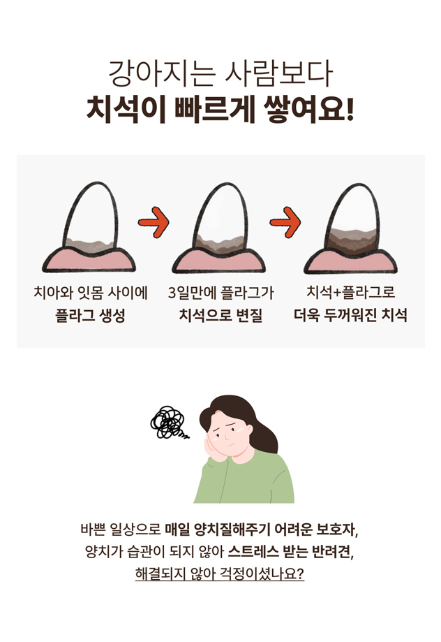 [NEW신상] [무료배송] [1+1] 프레시탭 독 덴탈 쥬시츄 15개입 5번째