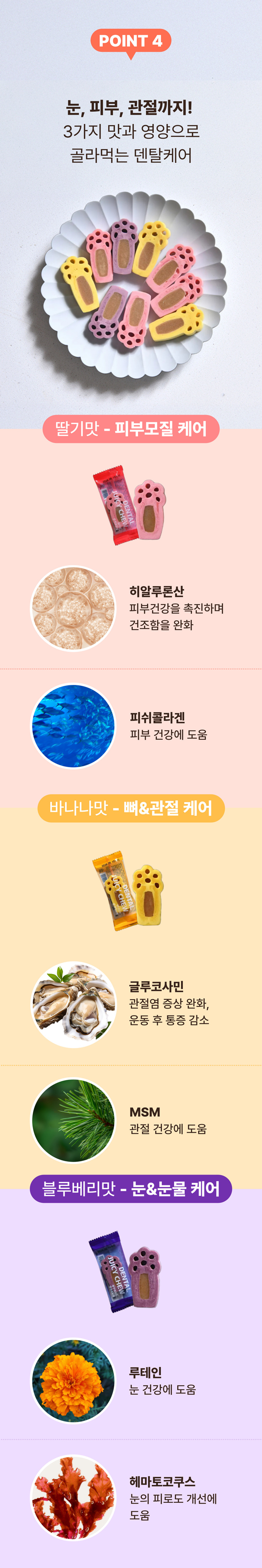 [NEW신상] [무료배송] [1+1] 프레시탭 독 덴탈 쥬시츄 15개입 18번째