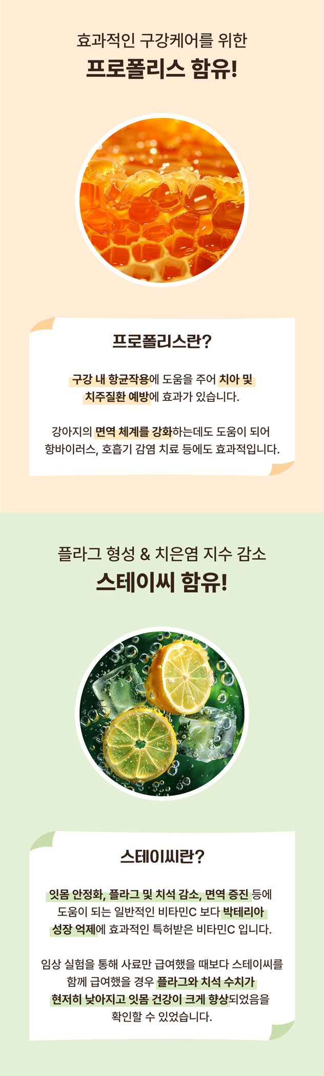 [NEW신상] [무료배송] [1+1] 프레시탭 독 덴탈 쥬시츄 15개입 13번째