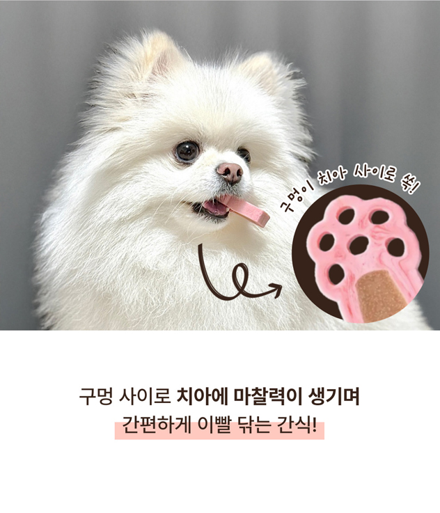 [NEW신상] [무료배송] [1+1] 프레시탭 독 덴탈 쥬시츄 15개입 9번째