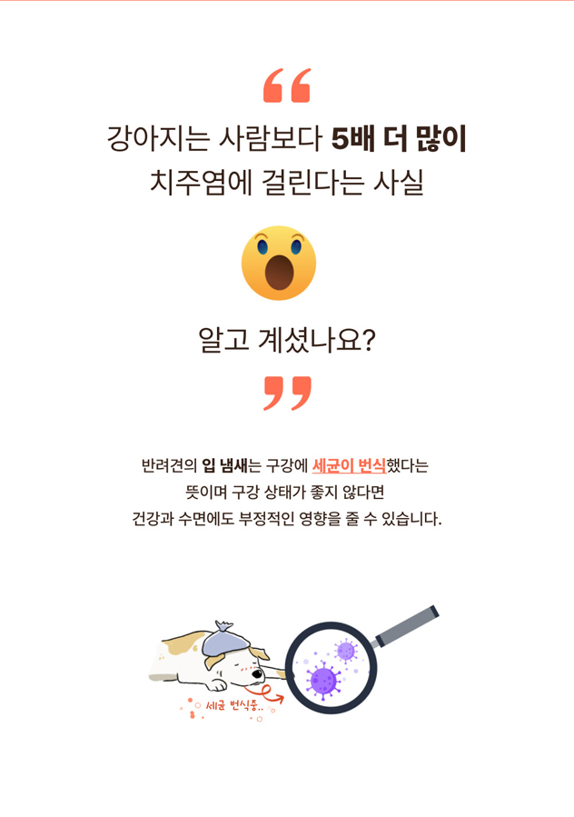 [NEW신상] [무료배송] [1+1] 프레시탭 독 덴탈 쥬시츄 15개입 4번째