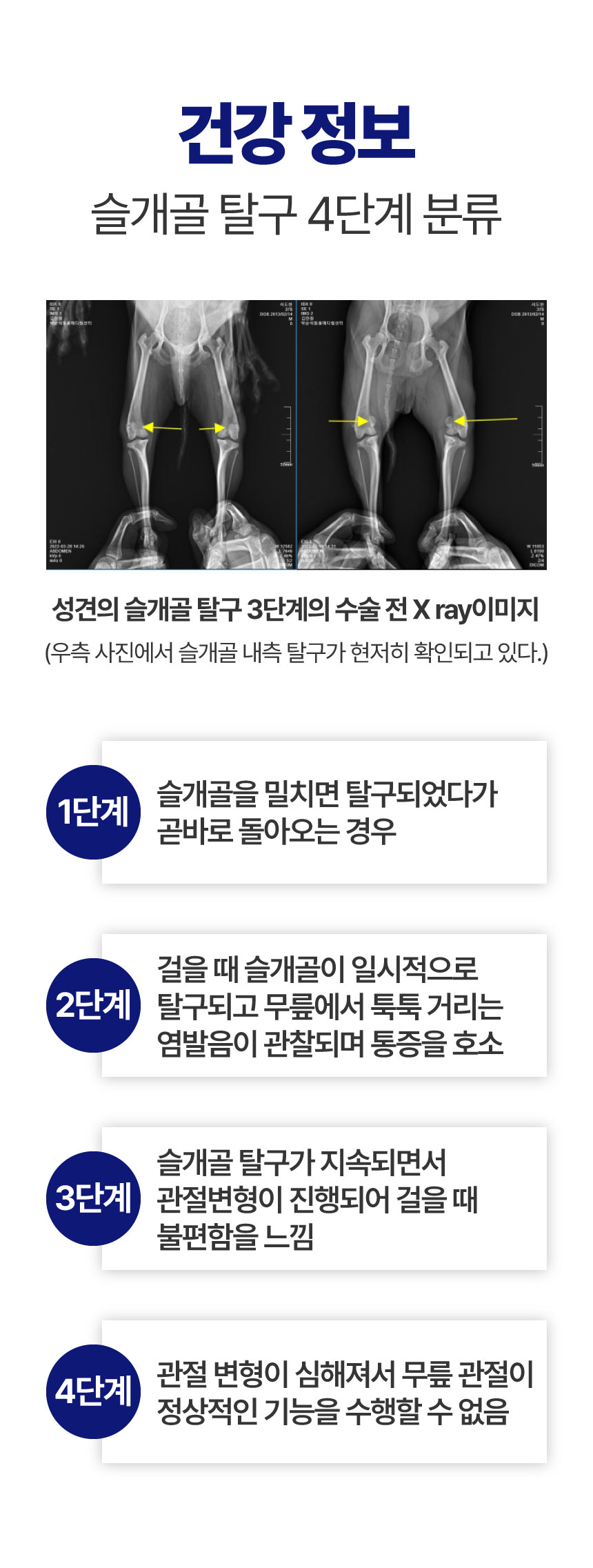 [NEW신상][무료배송] 메이드인랩 달리 강아지 관절영양제 터마신 100정 22번째
