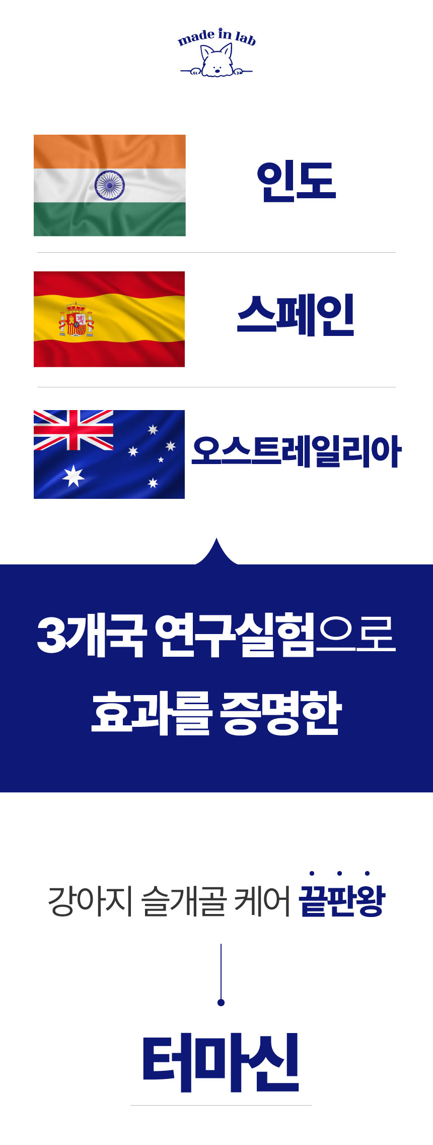 [NEW신상][무료배송] 메이드인랩 달리 강아지 관절영양제 터마신 100정 2번째