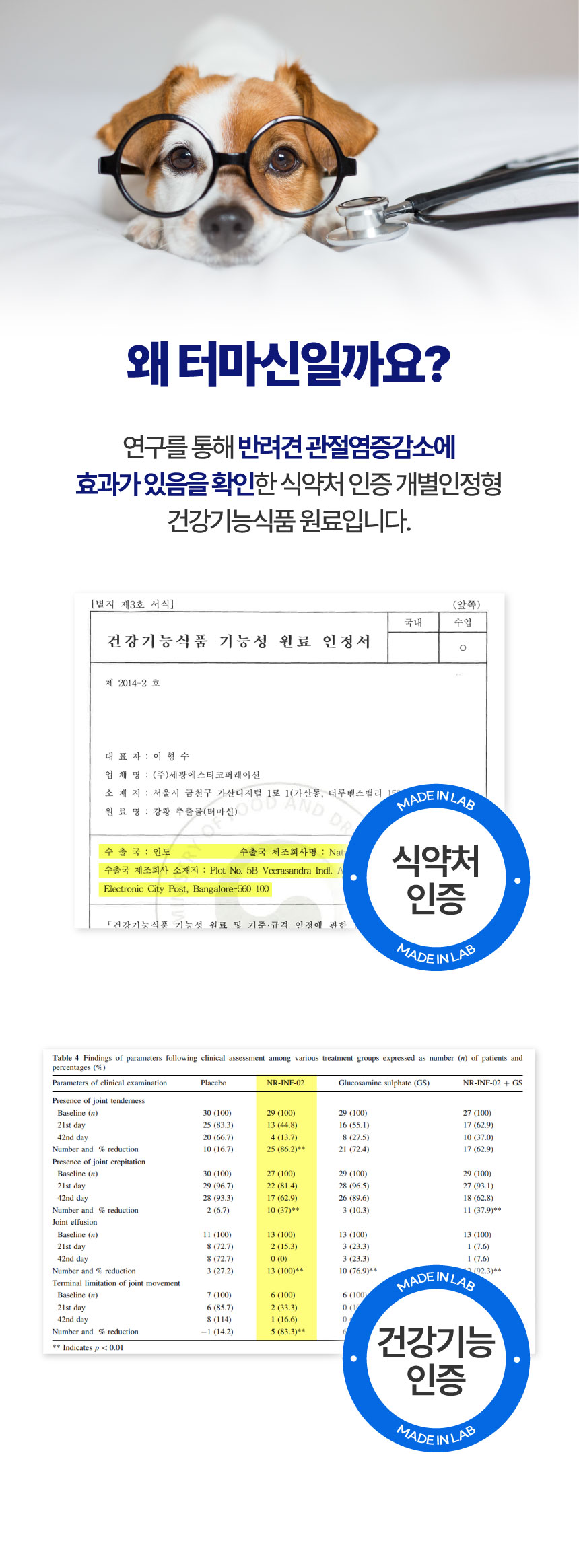 [NEW신상][무료배송] 메이드인랩 달리 강아지 관절영양제 터마신 100정 11번째