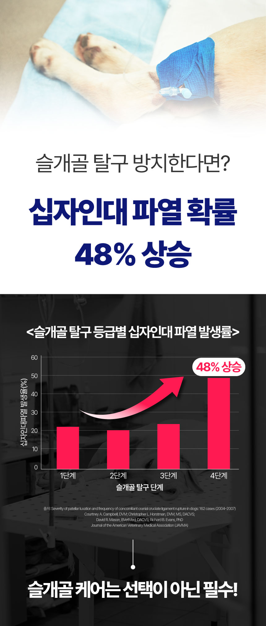 [NEW신상][무료배송] 메이드인랩 달리 강아지 관절영양제 터마신 100정 12번째
