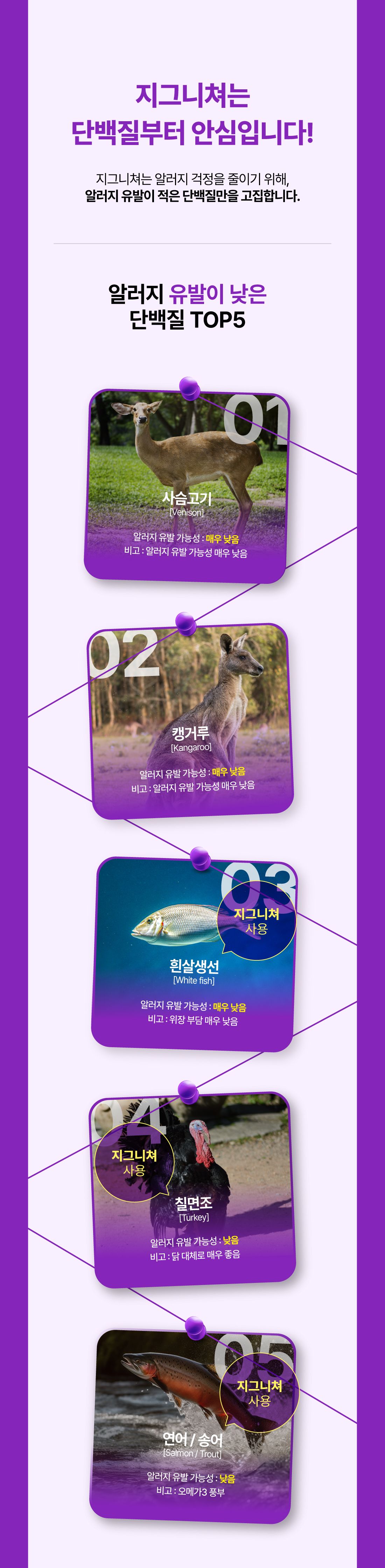 [유통기한임박, 26년2월20일] [사료샘플] 지그니쳐 독 칠면조 포뮬라 라지바이트 40g 14번째