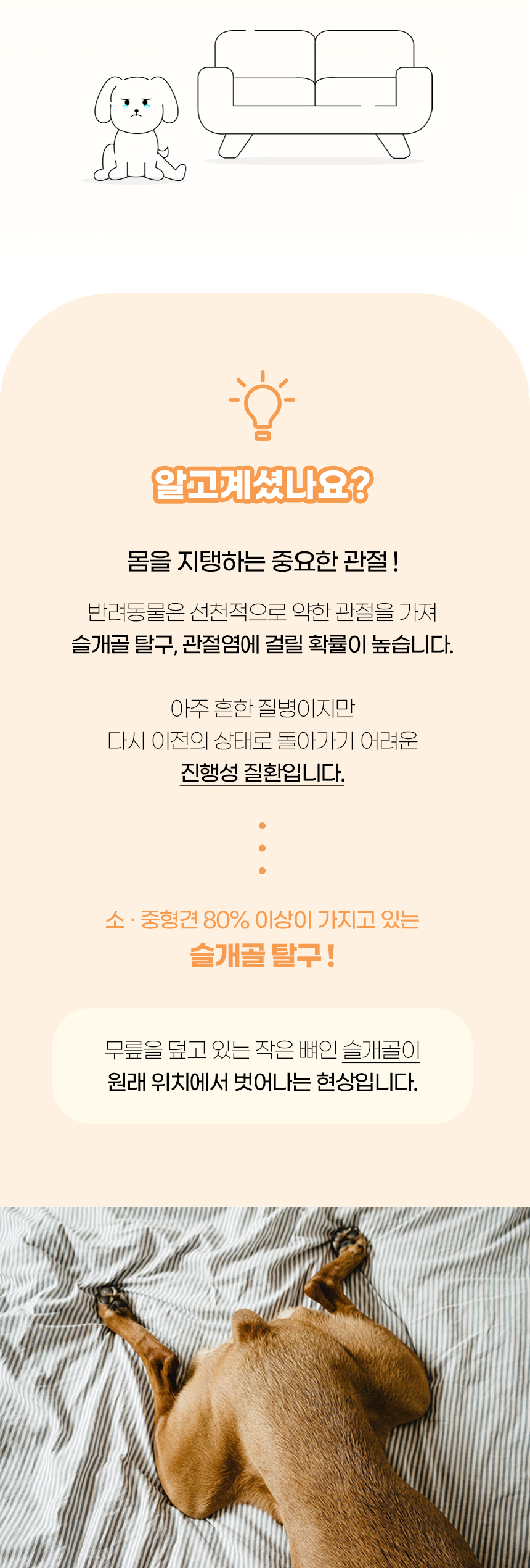 [NEW신상][무료배송] 개과천선 독 봉르 펫스텝 계단 (다크 네이비/다크 그레이/엣지 그레이/다크 레드) 2번째