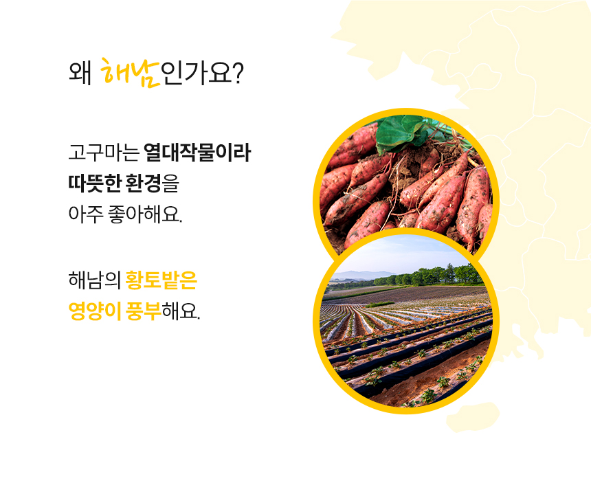 [무료배송] 본아페티 호박고구마 비건 트릿 100g 9번째