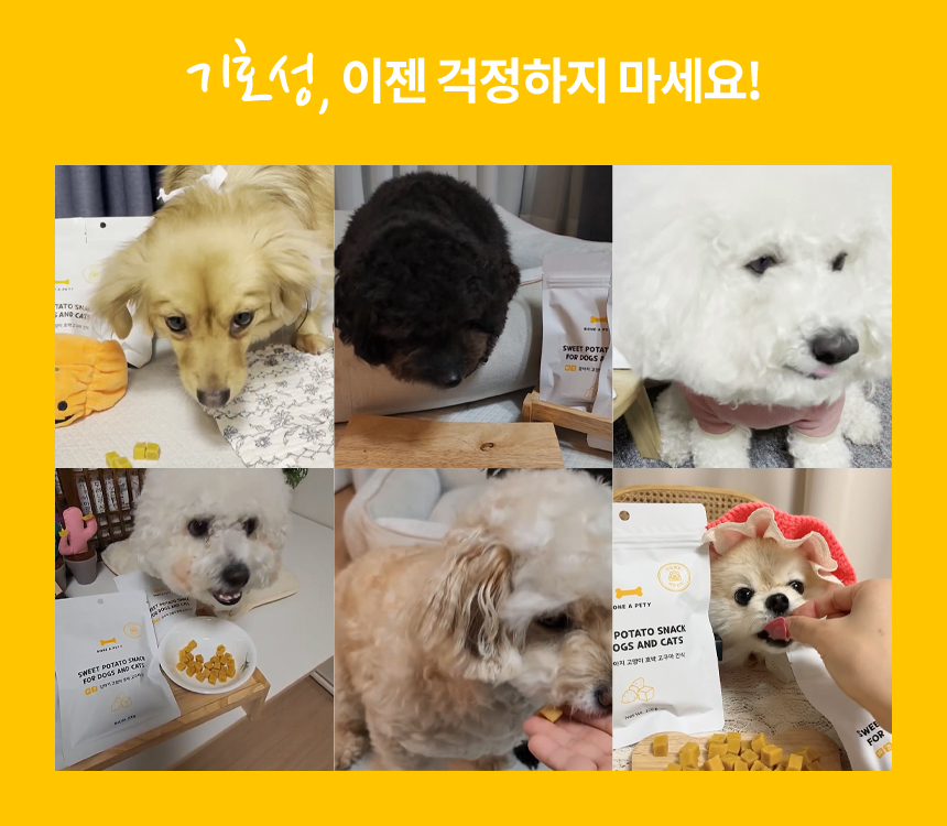 [무료배송] 본아페티 호박고구마 비건 트릿 100g 16번째