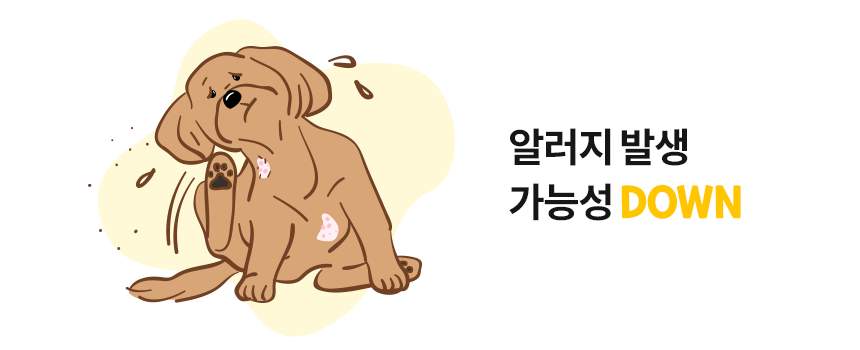 [무료배송] 본아페티 호박고구마 비건 트릿 100g 11번째